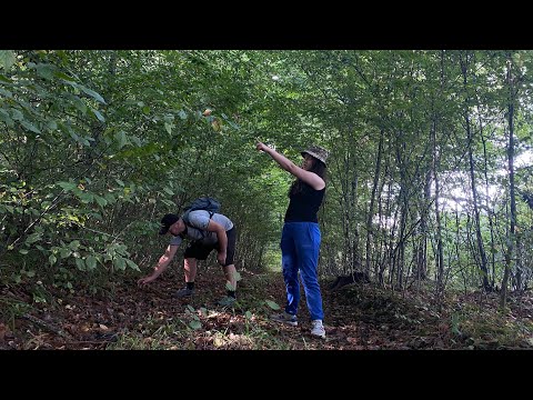 Видео: Сьогодні до Лісу у веселій компанії..гуртом все-таки цікавіше! Провідати треба біля села що в лісі