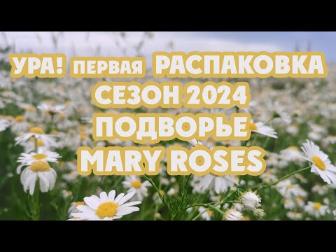 Видео: Первая распаковка весны. Посылки из Подворья и питомника роз Mary roses. #распаковкарастений #розы
