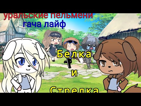 Видео: уральские пельмени| гача лайф| Белка и стрелка | 🐶+🐶