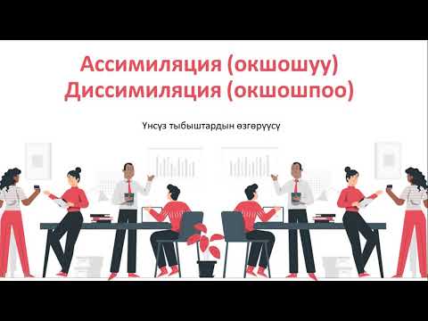Видео: 9-сабак \ Ассимилияция \ Диссимиляция
