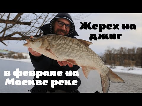 Видео: Жерех на джиг в феврале на Москве реке.