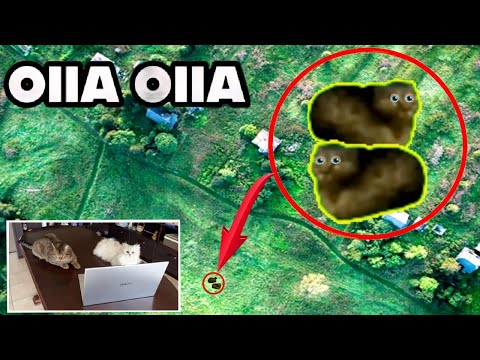 Видео: МОЙ ДРОН СНЯЛ НАСТОЯЩУЮ ОIIА ОIIА в Реальной Жизни