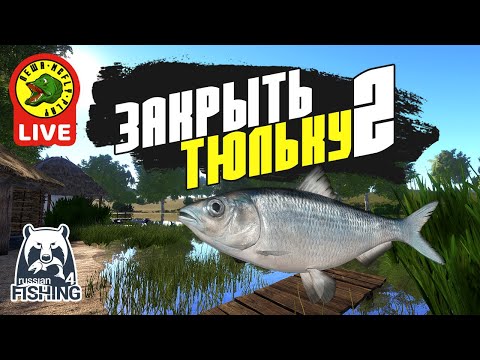 Видео: Закрываем Тюльку на Донце #2 - РР4 (Стрим - Русская рыбалка 4)