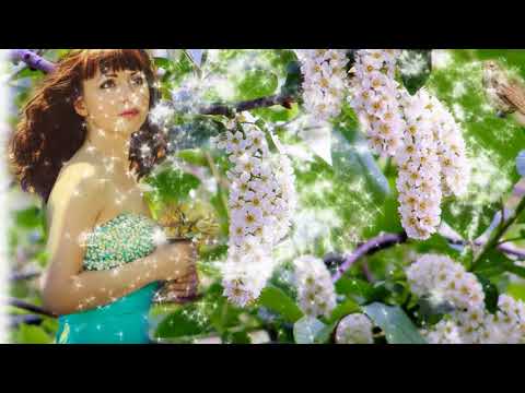 Видео: За окном черемуха колышется    Исп Эдуард Изместьев