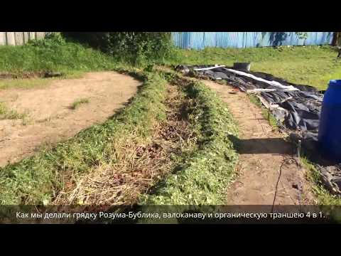 Видео: Как мы делали грядку Розума-Бублика-валоканаву и органическую траншею, 4 в 1.