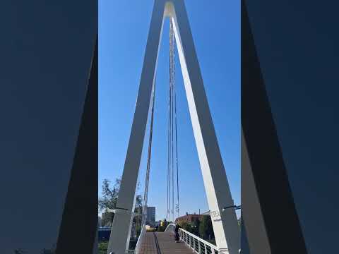 Видео: 15 сентября 2025 г.