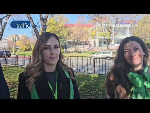 Видео: "Жива" пешеходна пътека в Пловдив