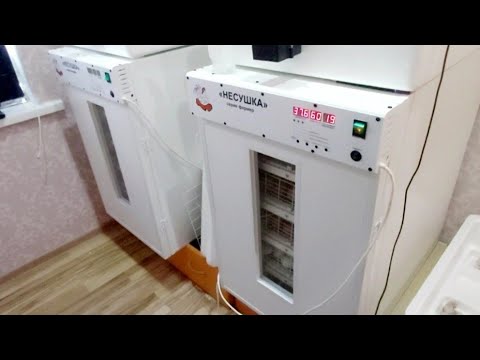 Видео: Инкубатор Несушка Фермер. Вторая инкубация в этом сезоне. Готовимся к вылуплению. Режим инкубации.