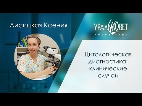 Видео: Цитологическая диагностика: клинические случаи. Лисицкая Ксения