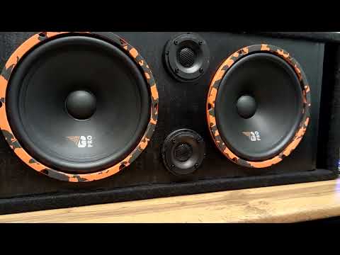 Видео: САМАЯ ГРОМКАЯ КОЛОНКА DL Audio Gryphon Pro  250 midbass и усилителе DL Audio Gryphon Pro 6.180