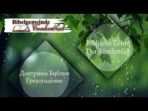 Видео: 04.08.2024 Доктрины Библии Грехопадение