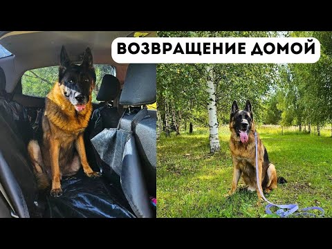 Видео: ВОЗВРАЩАЕМСЯ ДОМОЙ ИЗ ДЕРЕВНИ [влог] - Гранд устал отдыхать