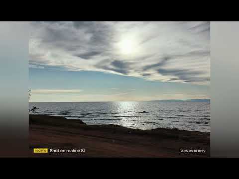 Видео: Наверное это осень виновата 🤔🍂