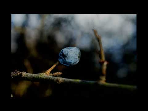 Видео: Ой давно, давно в матінки була