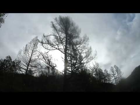 Видео: Алтай2024,