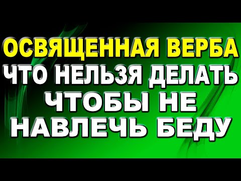 Видео: Что нельзя делать с освященной вербой: приметы, чтобы не навлечь беду / Приметы про вербу
