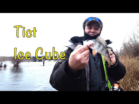 Видео: ТЕСТ СПИННИНГА TICT Ice Cube и о проблемах катушки Daiwa Freams.