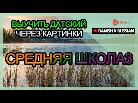 Видео: Выучить датский через картинки |датский словарь средняя школа3 | Golearn