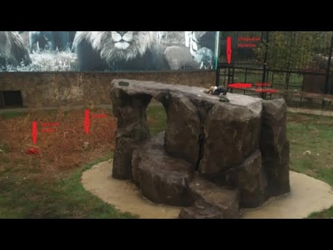 Видео: Повреждения на теле Леокадии Переваловой противоречат,что было нападение львов(ч.2)