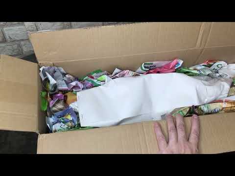 Видео: #6  Обзор посылки с орхидеями и не только в этом году 2024 г