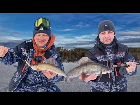 Видео: Север, лёд и скорость. Часть 2 — cиг, палия, хариус и щука. Поход на снегоходах
