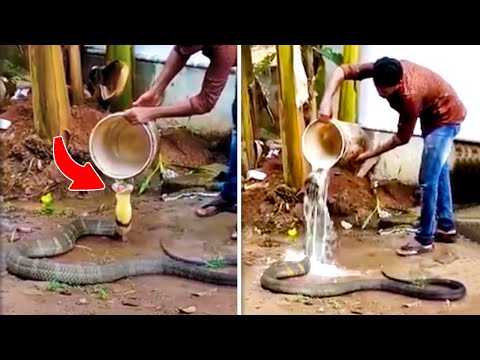 Видео: 20 Вещей, Которые Вы Увидите Впервые в Жизни