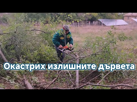 Видео: Изрязах дърветата зад кошарите и се отвори гледка към Маринкалъка