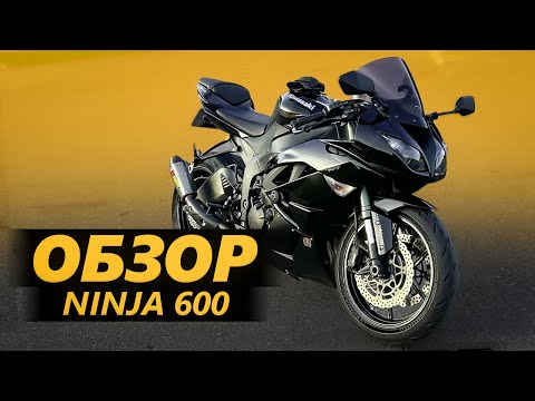 Видео: ОБЗОР Kawasaki Ninja 600 | Мяу