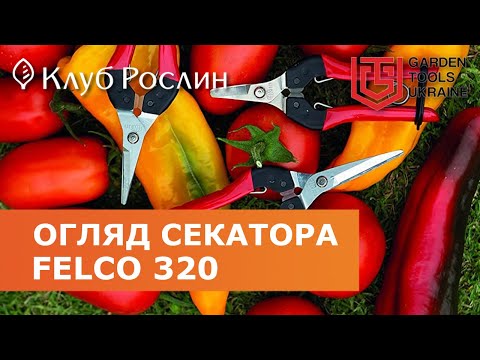 Видео: Секатор-ножницы Felco 320 для сбора плодов (Япония)