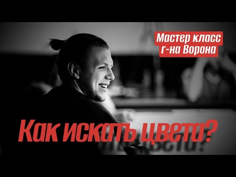 Видео: Мастер класс г-на Ворона. Как искать цвета?