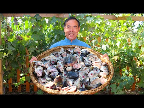 Видео: Самая недооценённая часть рыбы! Тушётая рыбья пасть в остром чили-бульоне! | Дядя Деревенский Гурман