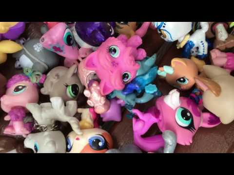 Видео: Встречка лпс-ников