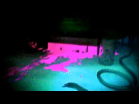 Видео: Смерть Кокичи