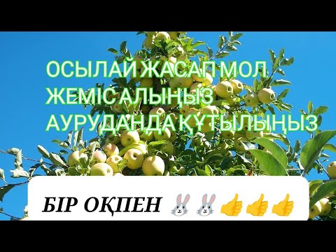 Видео: ЖАПЫРАҚТАН АЗЫҚТАНДЫРУ.КЕРЕМЕТ НӘТИЖЕ👍👍УНИВЕРСАЛ Тыңайтқыш.