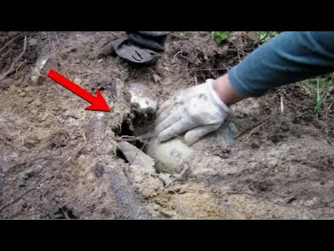 Видео: Жирная НАХОДКА Прямо на СТАРТЕ Порадовала, Коп возле КУРГАНА!!!