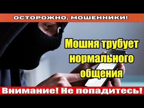 Видео: Звонят мошенники / Что такое дивиденды?
