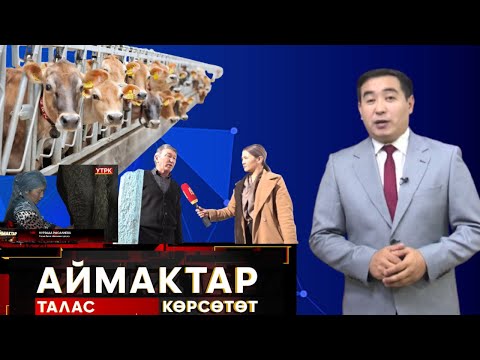 Видео: Талас көрсөтөт // "Аймактар" берүүсү // 02.12.24