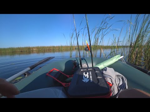 Видео: Нормально отдохнул половил Карасика