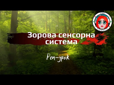 Видео: Зорова сенсорна система (реп-урок)