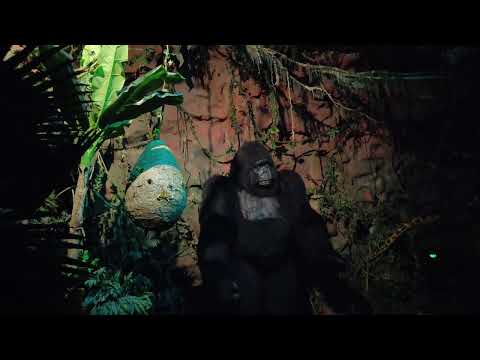 Видео: Джунгли Астана