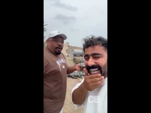 Видео: Смешные видео |лучшее из сети| подборки февраль 2025 #2 #кахаисерго #прикол #funny