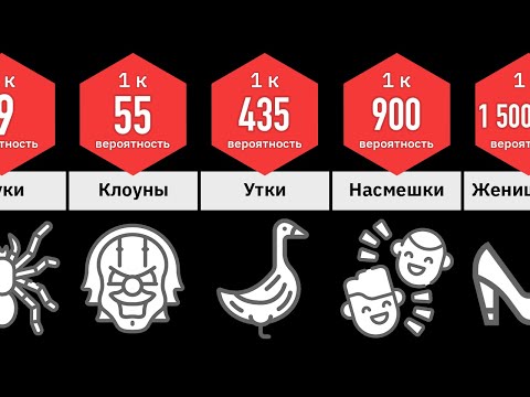 Видео: Сравнение Вероятностей: ФОБИИ