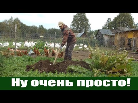 Видео: Простейший способ хранения моркови, картофеля, свеклы! Урожайный огород 2020