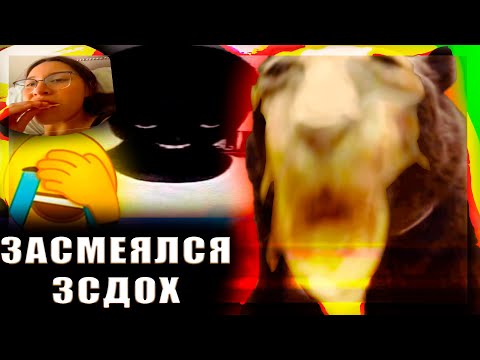 Видео: DAWG СМОТРИТ ЗАСМЕЯЛСЯ ПРОИГРАЛ ч2