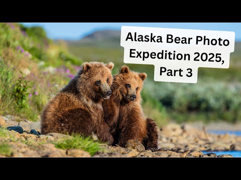 Видео: Экспедиция по фотографированию бурых медведей на Аляске, часть 3. Ожидание бури в раю.