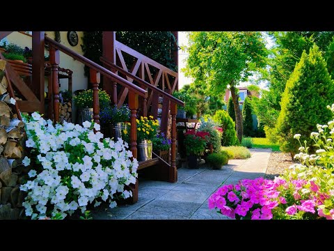 Видео: УЮТНЫЙ ДЕНЬ ДОМА🏡 Букеты из Сухоцветов🌸 Урожай Томатов в Теплице 🍅Стрижка Самшитов #garden #дом