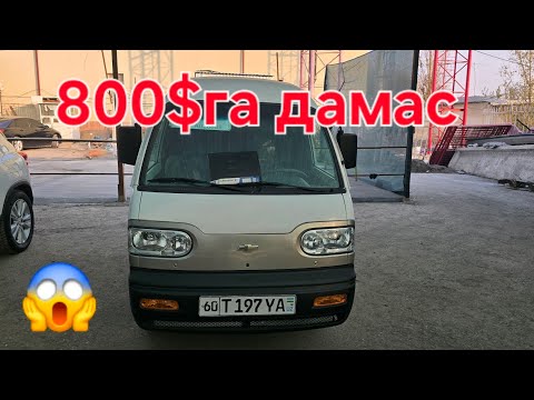 Видео: 18 ноября 2025 г.