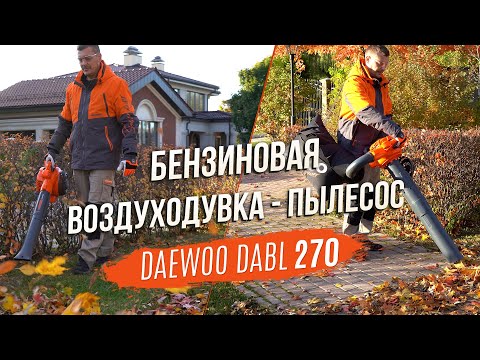 Видео: Мощная бензиновая воздуходувка-пылесос для загородного дома | DAEWOO DABL 270