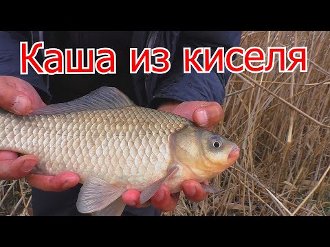 Видео: Самодельная каша для весенней рыбалки из киселя . Прикормка для ловли карася весной . My fishing