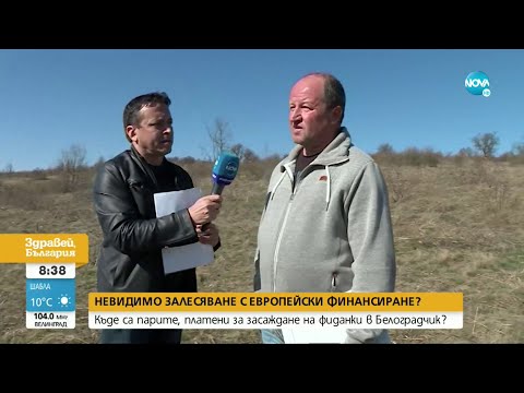 Видео: Разследване на NOVA: Къде са парите, платени за засаждане на фиданки в Белоградчик